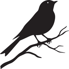 Fototapeta premium silhouette of bird on a branch