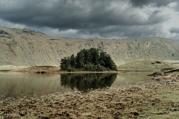 trees in lake with mountains