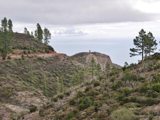 Naklejka premium Nationalpark Garajonay auf La Gomera mit Ausblicken