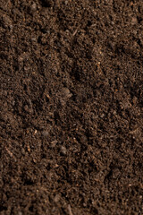 mixed soil with the addition of peat to increase fertility