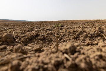 poor infertile soil in the field in the spring after plowing
