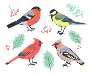 Vector illustration of cute winter birds, red cardinal, bullfinch, tit for Christmas and New year postcards, greeting cards and banners.