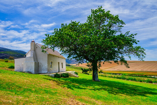 Blue sky and white clouds over a farmhouse and a tree in Caledon, Overberg, Western Cape, South Africa