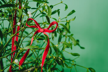 Red ribbon bow hanging on a mistletoe branch