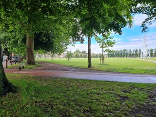 alley in the park
