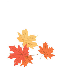 Obraz premium white background maple leaves illustration flat decorative simple