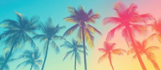 Obraz premium Silhouette of palm trees against a vibrant summer gradient on a light blue backdrop embodying a tropical vacation and travel theme