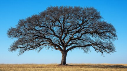 Tree with Human Arms Symbolizing Growth and Aspiration