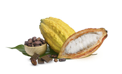 fresh cocoa fruit with half sliced and seeds  isolated on white transparent.