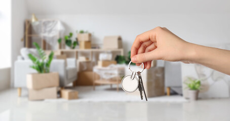 Cardboard boxes with sofas and houseplants in living room on moving day