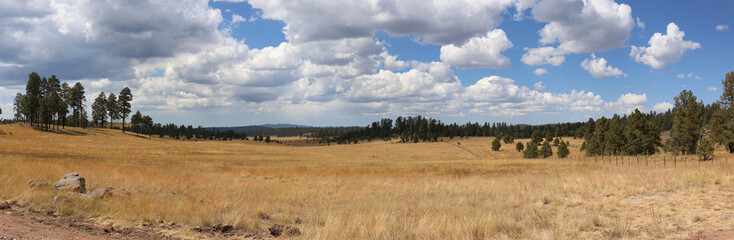 Mountain landscape in fall in Apache National Forest Arizona