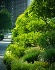 Fototapeta premium Sustainable City Street Infrastructure with Bike Lanes and Green Spaces.