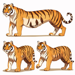 Fototapeta premium Tiger Positions Illustrated: A Visual Guide to Six Unique Stances