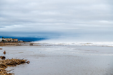 Stormy Coastal View with Driftwood and Mountain Backdrop Under Clouds