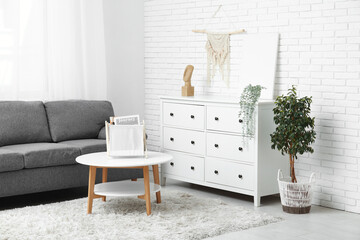 Cozy sofa coffee table, houseplant and chest of drawers in living room