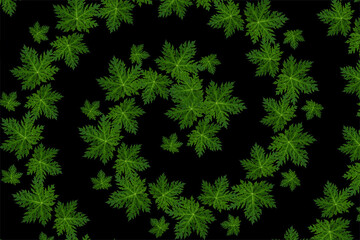 Leaf pattern background. Green leaf pattern. leaf pattern background. pattern with green leaves