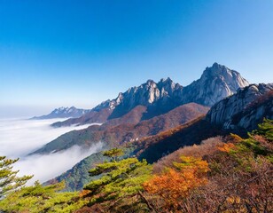 The Magnificent Seoraksan Mountain Peaks in South Korea, Rising Dramatically Above a Sea of Clouds, Surrounded by Autumn Foliage and Pine Trees in a Pristine National Park Setting