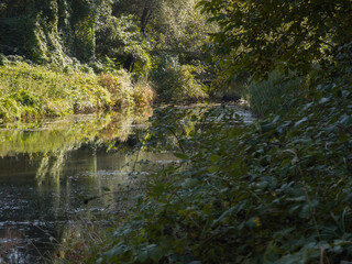Iskar river near Pancharevo lake, Bulgaria