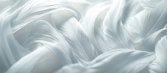 Naklejka premium White Feathers Abstract Background