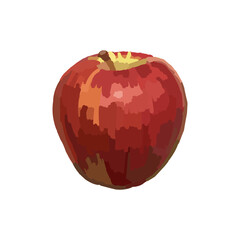 Vector realistic red apple painted with a round brush on white background. Hand drawn illustration