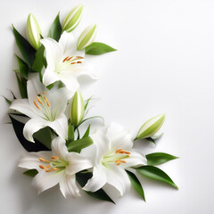 Fototapeta premium Fresh Lily flower garland foliage on side position provides copy space for text. background concept isolated white