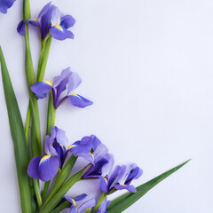 Fresh Iris flower garland foliage on side position provides copy space for text. background concept isolated white