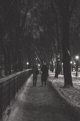 Two people in winter clothing walk along a snowy, dimly lit park path lined with bare trees and glowing street lamps, in a calm and serene black-and-white winter scene.  
