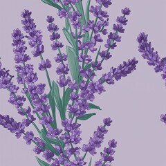 Purple Lavender flower pattern design illustration on plain background seamless wallpaper print