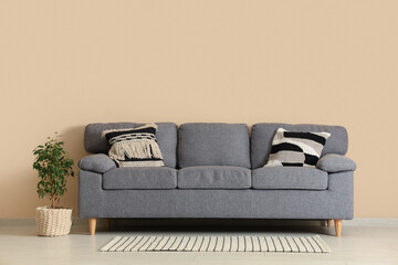 Cozy sofa and houseplant near beige wall in room