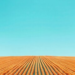 Fototapeta premium Vast wheat field with golden rows under clear blue sky, agriculture landscape and farming texture, nature and growth concept