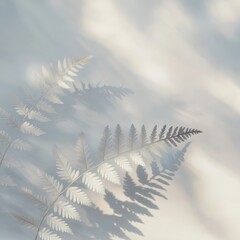 White Fern Leaves with Shadows on White Background - Minimalist Botanical Photography.