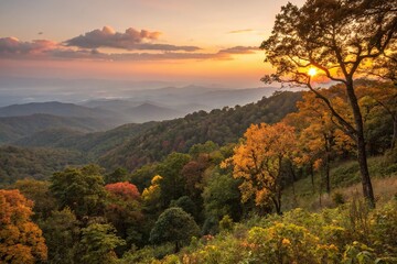 Fototapeta premium The trees of Tung Bua Tong forest are set ablaze with warm colors as sunset approaches in the distance, light, sun
