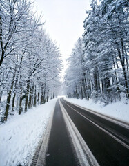 Winter landscape, Winter Forest, Winter road and trees covered with snow, Germany
