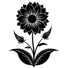 a silhouette of a blooming flower in the morning 