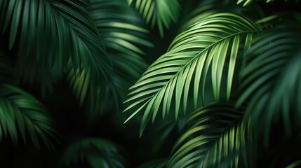 Softly focused green palm leaves create a natural backdrop evoking a lush jungle atmosphere