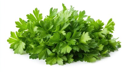Fototapeta premium Fresh parsley leaves grouped together on a white background