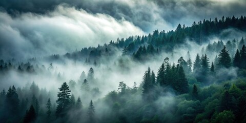 Fototapeta premium Thick dark fog rising above a dense forest , fog, dark, mist, atmospheric, mysterious, spooky, eerie, forest, trees
