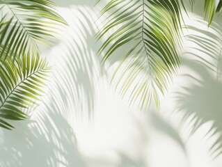 Obraz premium Abstract Palm Leaf Shadows on White Background, Minimalist Tropical Design, Summer Nature Texture