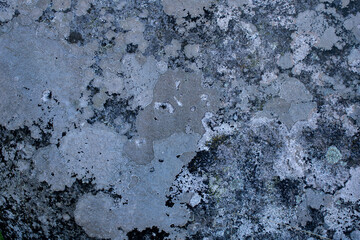 stone wall texture