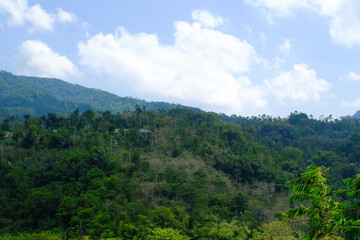 Panoramic Landscape View of lush hills. Hills that are still covered with lush forests. Wild natural scenery. Plateau area
