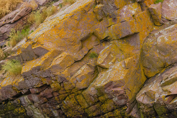 Rocks Filled With Map Lichens