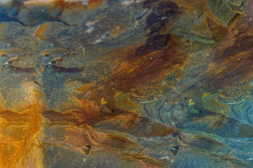 Rock On The Shores Of Brigus Newfoundland