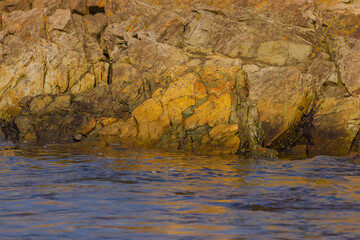Colorful Rock In Brigus Newfoundland