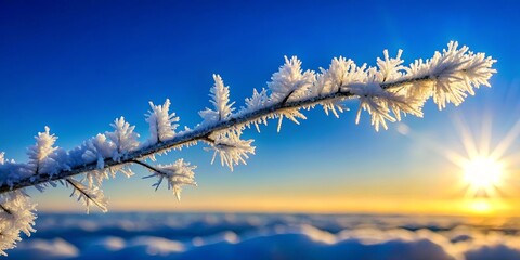 A single branch adorned with intricate frost formations, set against a backdrop of a vibrant blue sky, where the sun peeks through the clouds, casting a warm glow on the winter landscape.