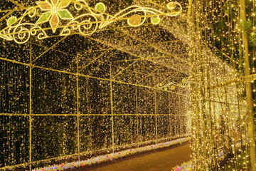 華やかで綺麗なイルミネーション