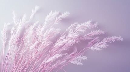 Fototapeta premium Soft and Delicate Pampas Grass Arrangement in Blush Pink Against a Subtle Gradient Background for Elegant and Modern Home Decor