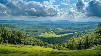 Naklejka premium A road trip stop at a scenic lookout, with a breathtaking view