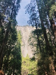 Northern California Mountans