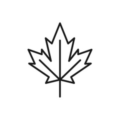 Maple leaf. Line icon. Flat design vector. White background.