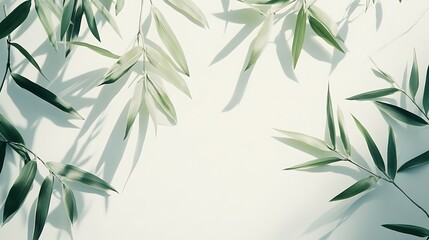 Fototapeta premium Green leaves isolated on white background